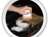 33_cepillo-estrella-scrub-detalle.jpg
